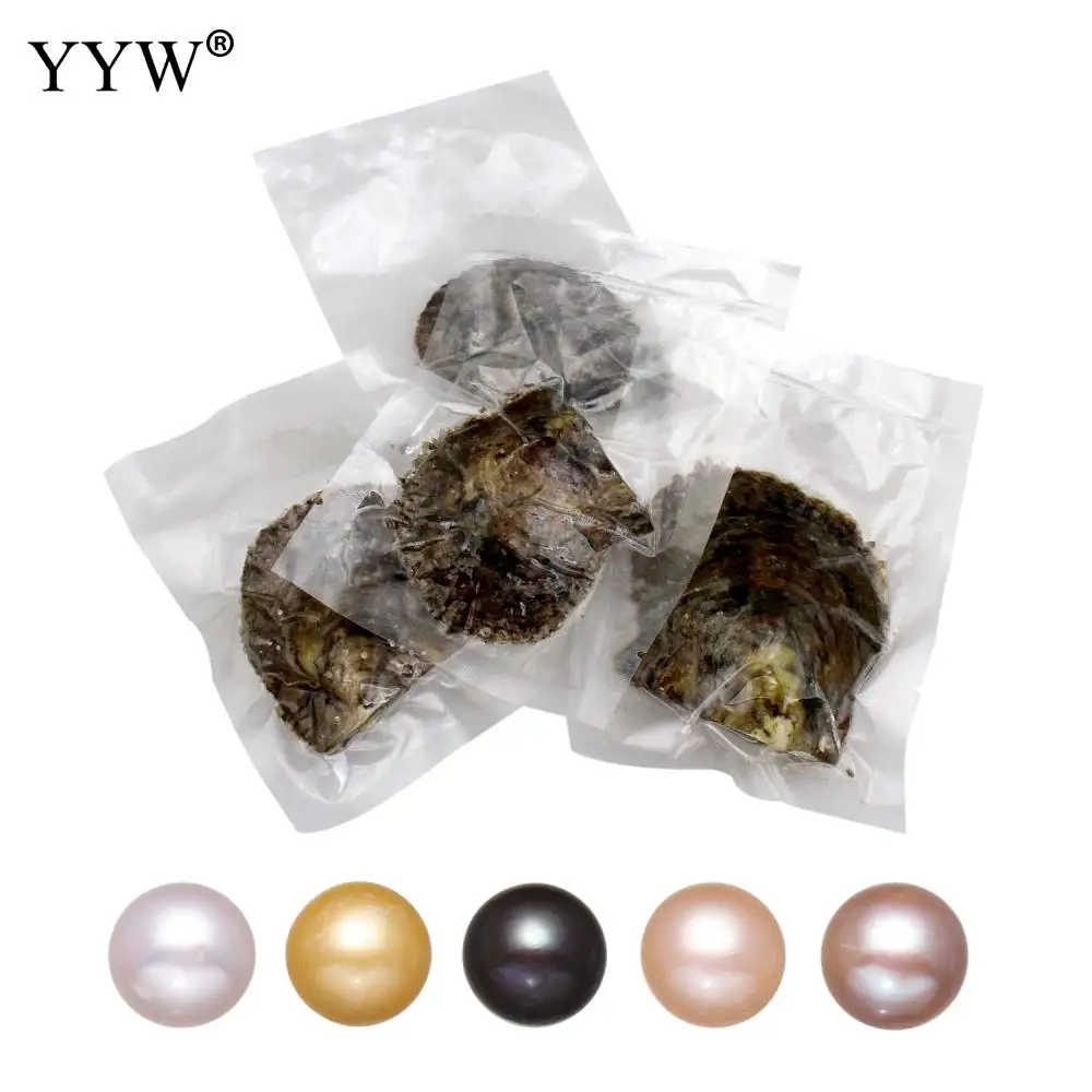 

round akoya pearl oysters single bowling individually packaged Birthday Wedding Gift Vacuum-packed Oyster pearl 9-10mm 5PCs/Bag