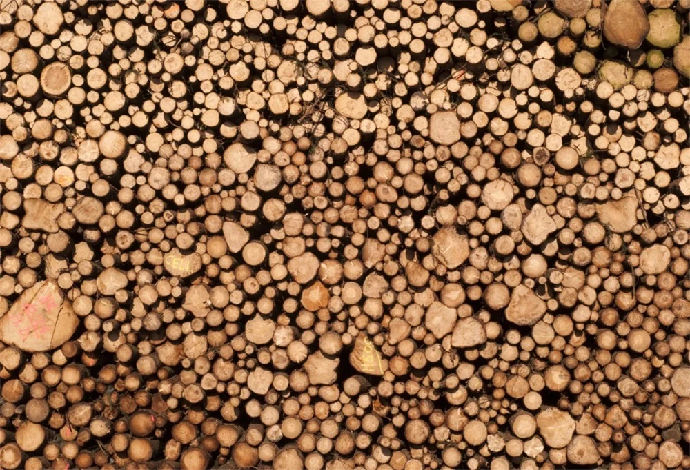 

Laeacco Wood Section Portrait Scene Photography Backgrounds Customized Photographic Backdrops For Photo Studio