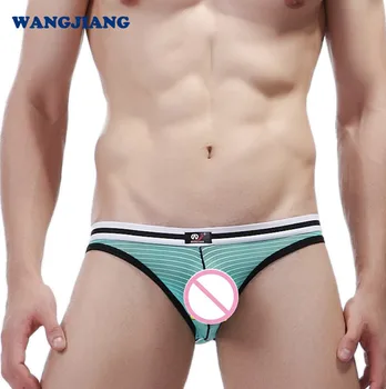 

WJ Men's Underwear Wholesale Foreign Trade Breathable Mesh Transparent Sexy Comfortable Briefs