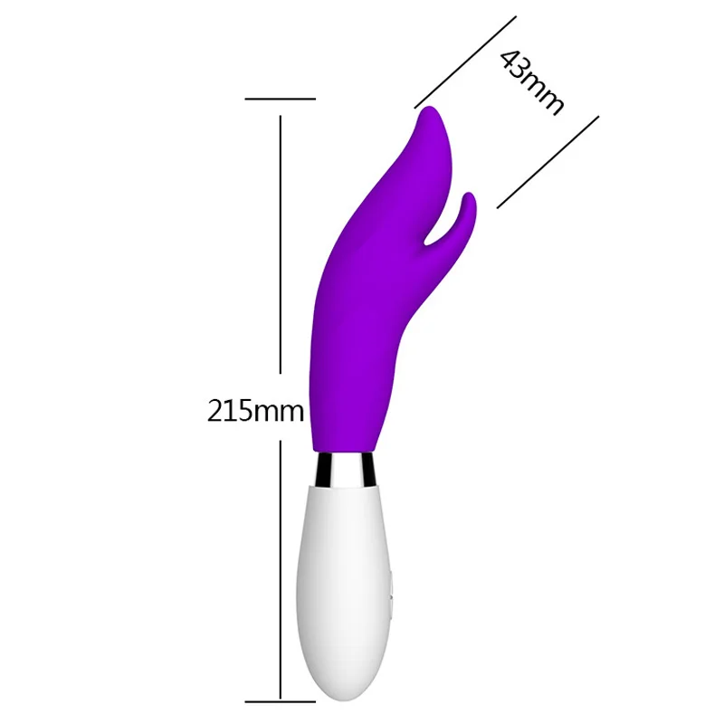 GV0681_1