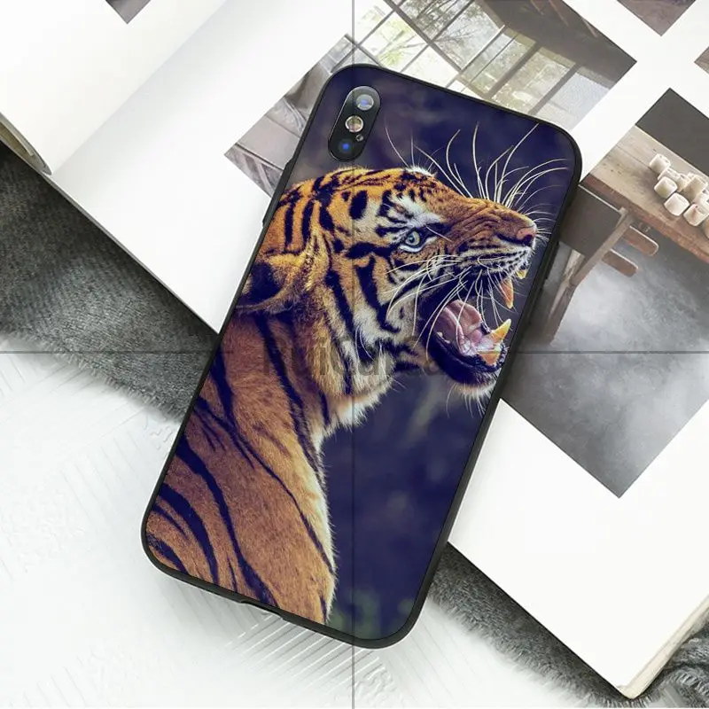 animal tiger