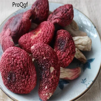 

300Gram A Set red mushroom Russula vinosa Lindblad