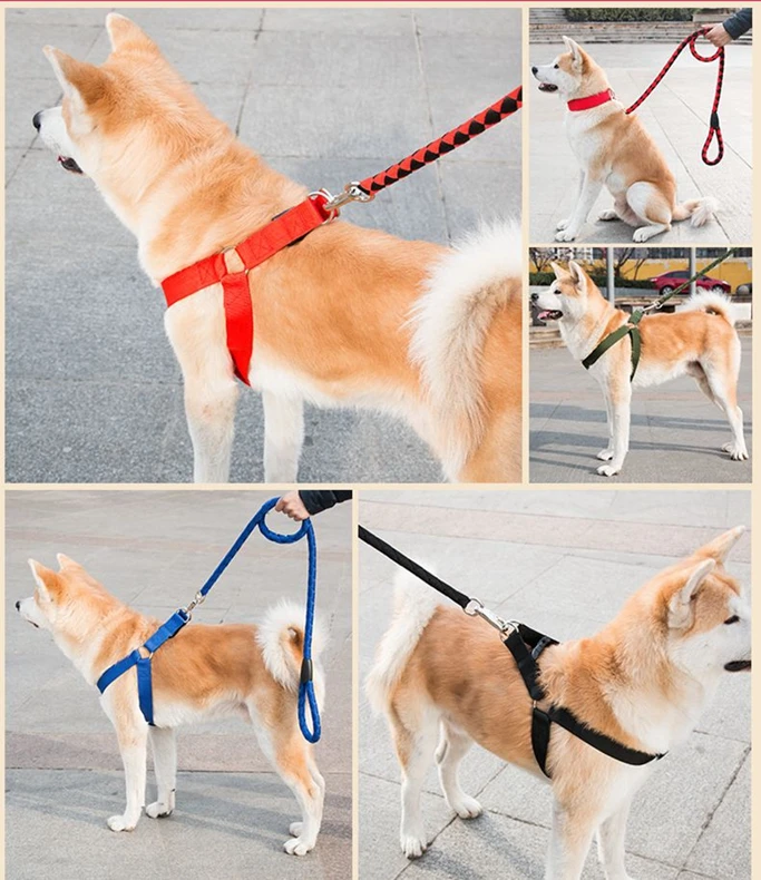 Как правильно одеть шлейку на собаку поэтапно картинки