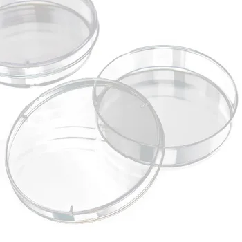 

New and Hot 10Pcs Sterile Petri Dishes w/Lids for Lab Plate Bacterial Yeast 55mm x 15mm