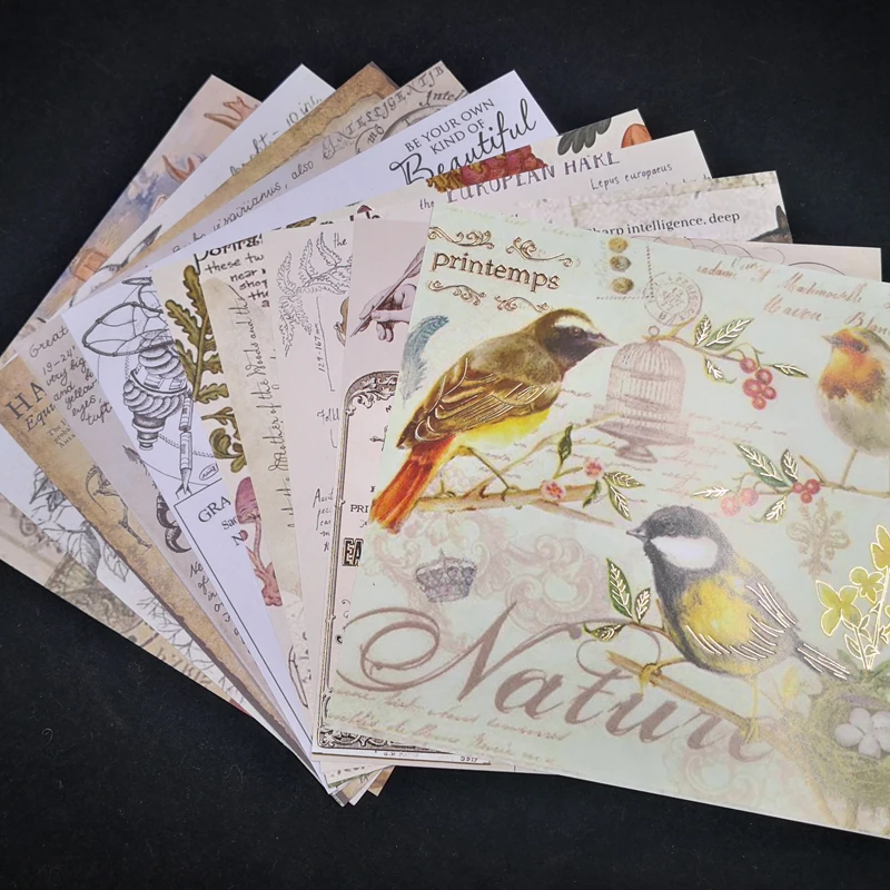 Vintage Bird Background Vellum Paper Stickers for Scrapbooking Happy Planner Card Making Journaling Project