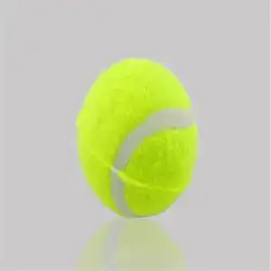 Новый 1 шт. теннис спортивной подготовки шары для начинающих Trainning Pet мяч профессиональный Стандартный Высокая устойчивость прочный