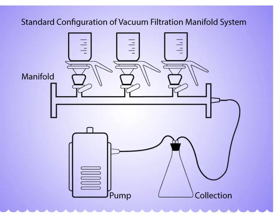 TOPTION brand laboratory 3 branch funnel manifolds filter manifolds vacuum filtration (4)