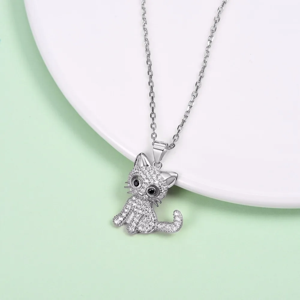 DSC_9781