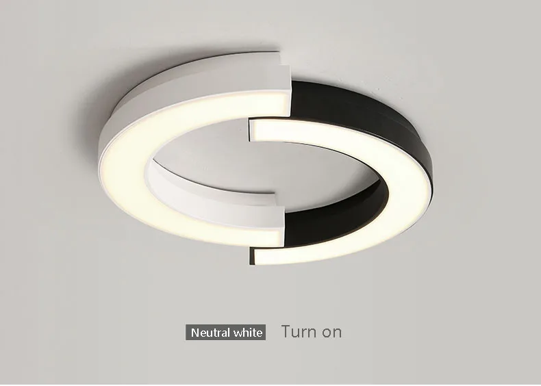 ceiling light 6