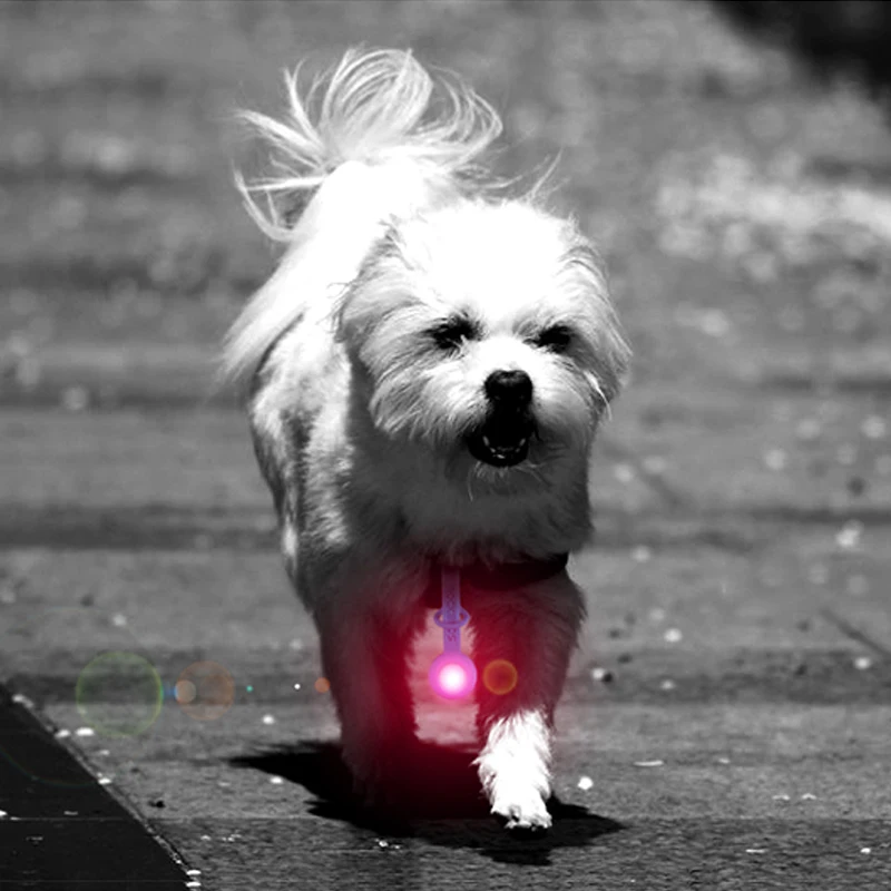 Perfect ROCKBROS Night Running Lights MTB Road Bicycle LED Flashlight Rainproof Cycling Bike Warning Tail Light Pants Clip Belt Light 4 Perfect ROCKBROS Night Running Lights MTB Road Bicycle LED Flashlight Rainproof Cycling Bike Warning Tail Light Pants Clip Belt Light 4
