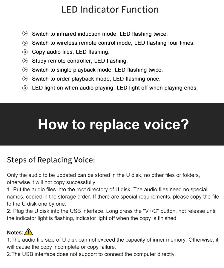 voice player (11)