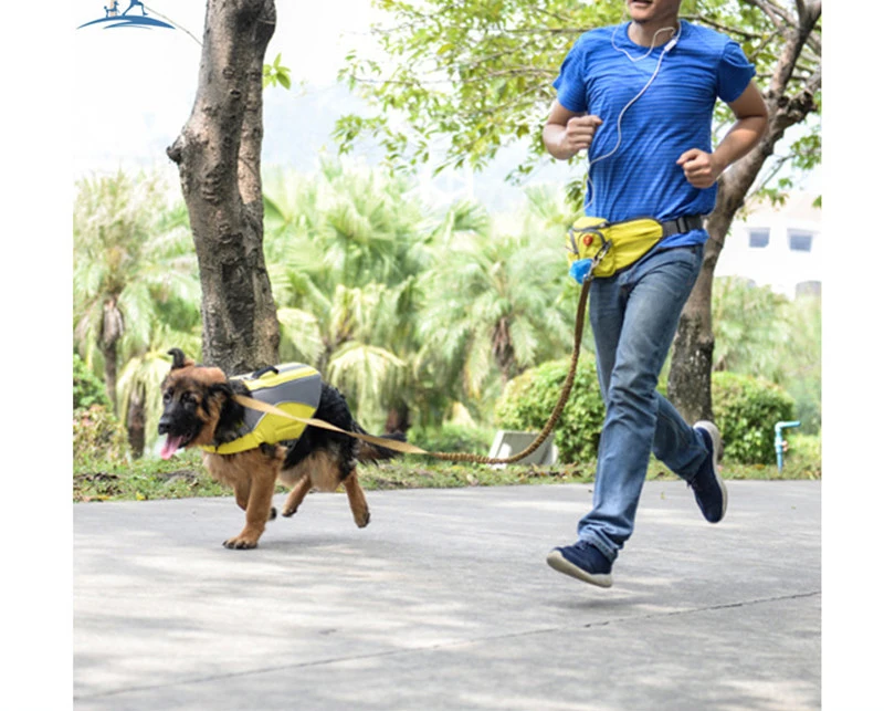 pet carrier 05