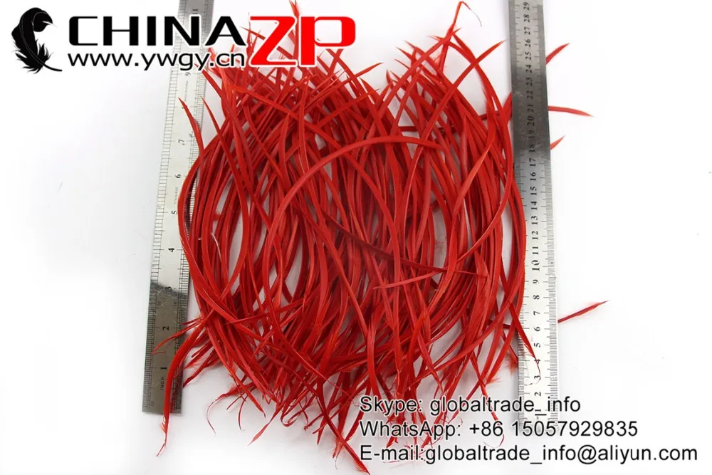 Фото Дешевые окрашенные красные гусиные биоты CHINAZP Factory www.ywgy.cn 100 шт./лот 20 ~ 25 см (8 ~ 10 дюймов), оптом №4