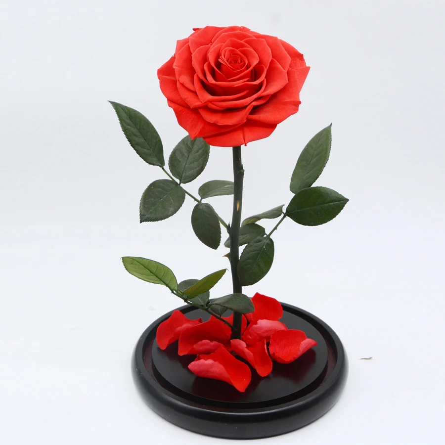 popular red rose stem-buy cheap red rose stem lots from china red popular red rose stem-buy cheap red rose stem lots from china red
