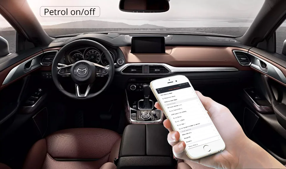 function petrol onoff