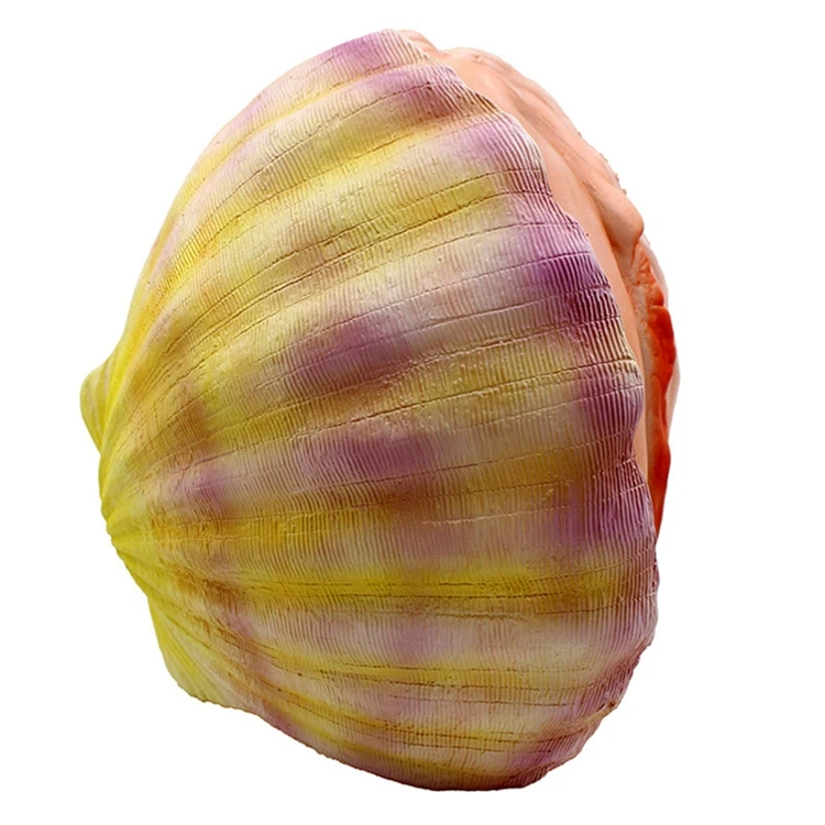 5_