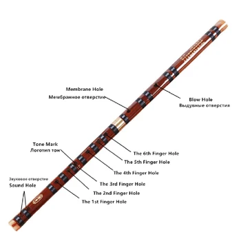 

Bamboo Flute Professional Woodwind Flutes C D E F G Key Chinese Traditional Musical Instruments Dizi