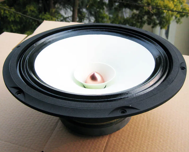 speaker full range 12 inch