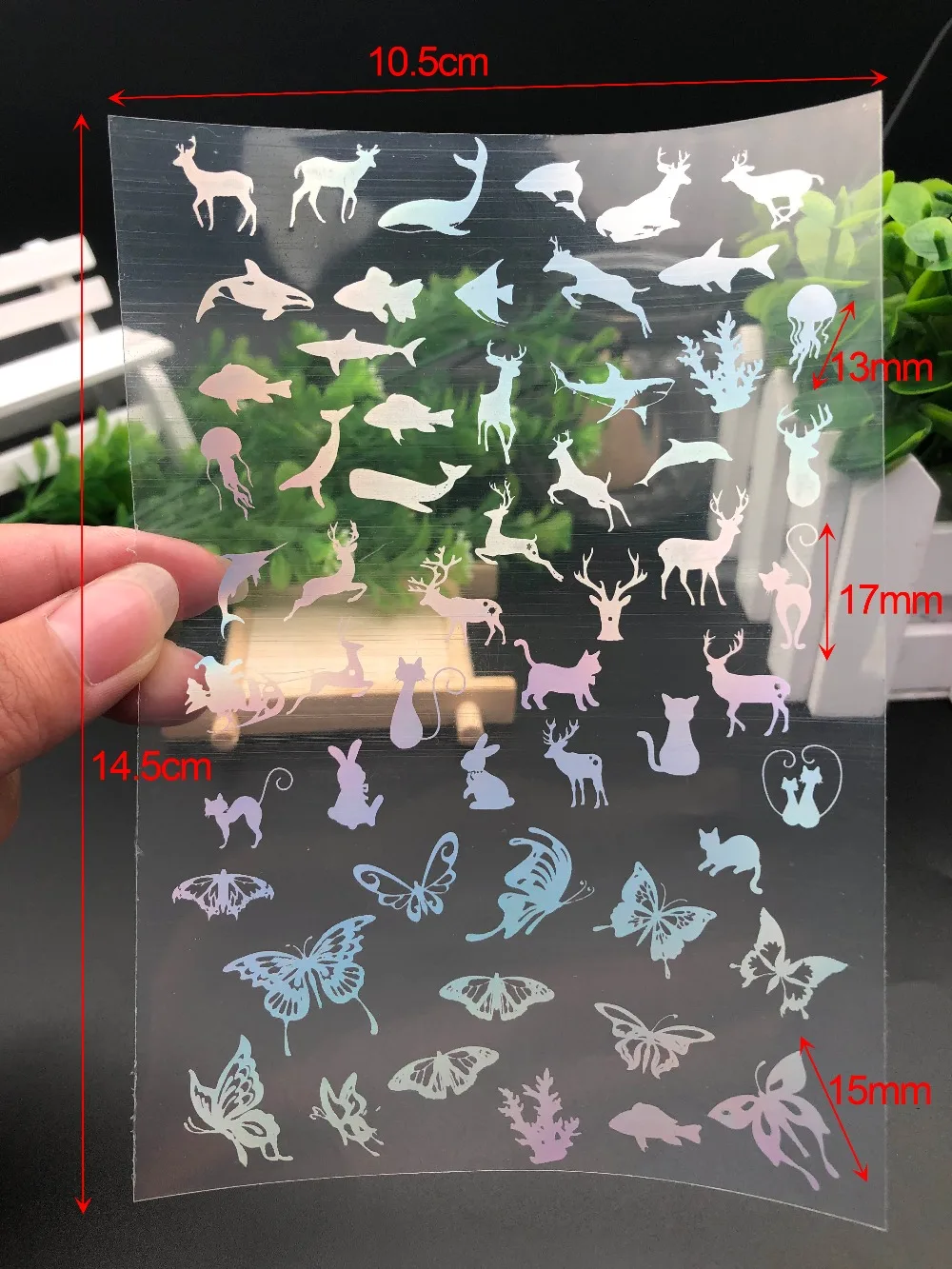 蝴蝶贴纸