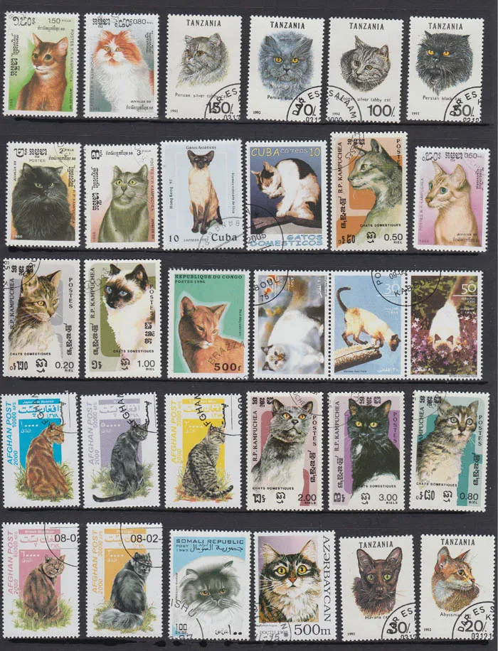 50 шт./упак. Cat все отличаются из многих стран нет повторных неиспользованных