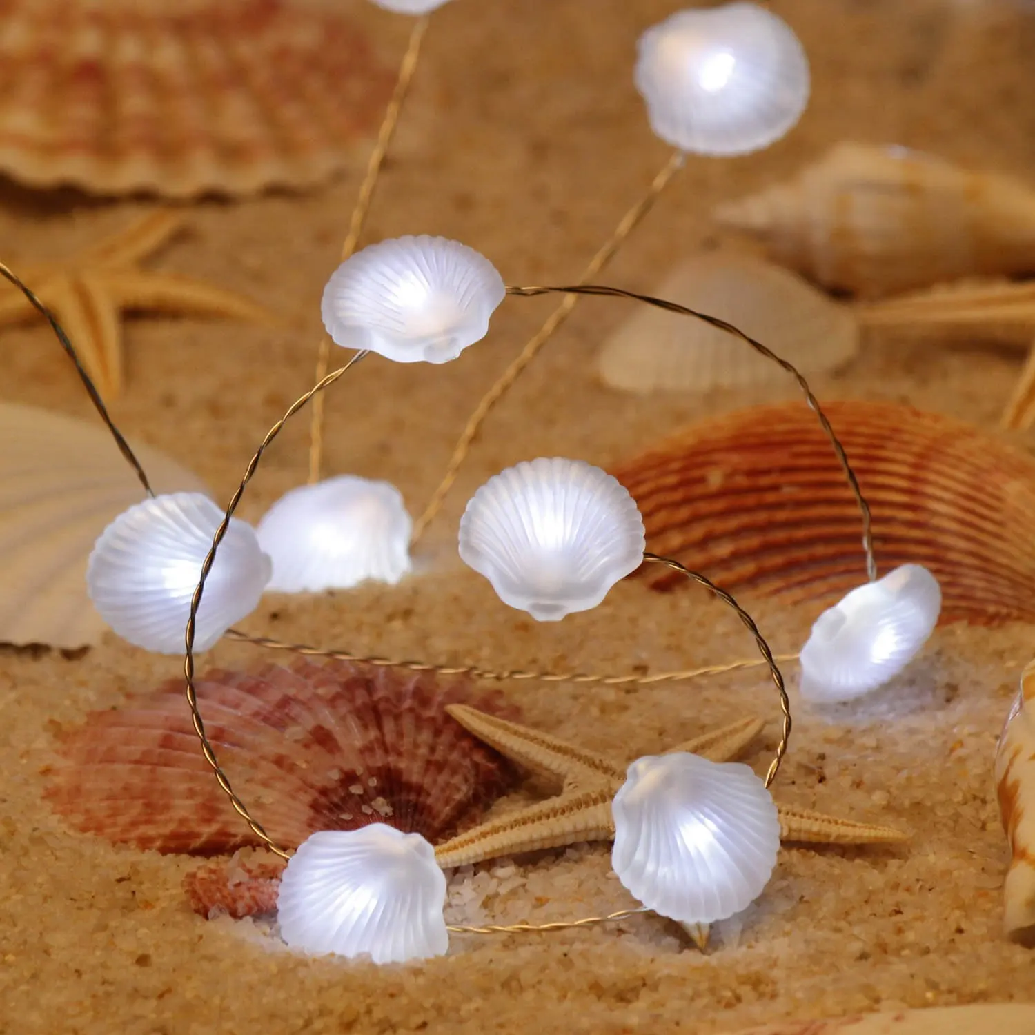

METABLE 1Set Beach Theme, Sea Shells Scallop String Lights Decorative, Copper Flexible Wire, Remote for Wedding,birthday,party