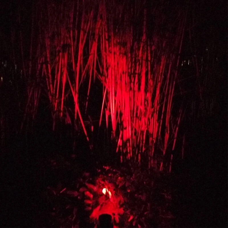 800 red