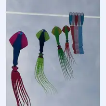 Vlieger воздушный змей по прейс-воздушные змеи для взрослых ветрового стекла мягкие змеи из нервущейся крепкой ткани носка ветра нейлона рипстоп фабрика потехи кайт сценический