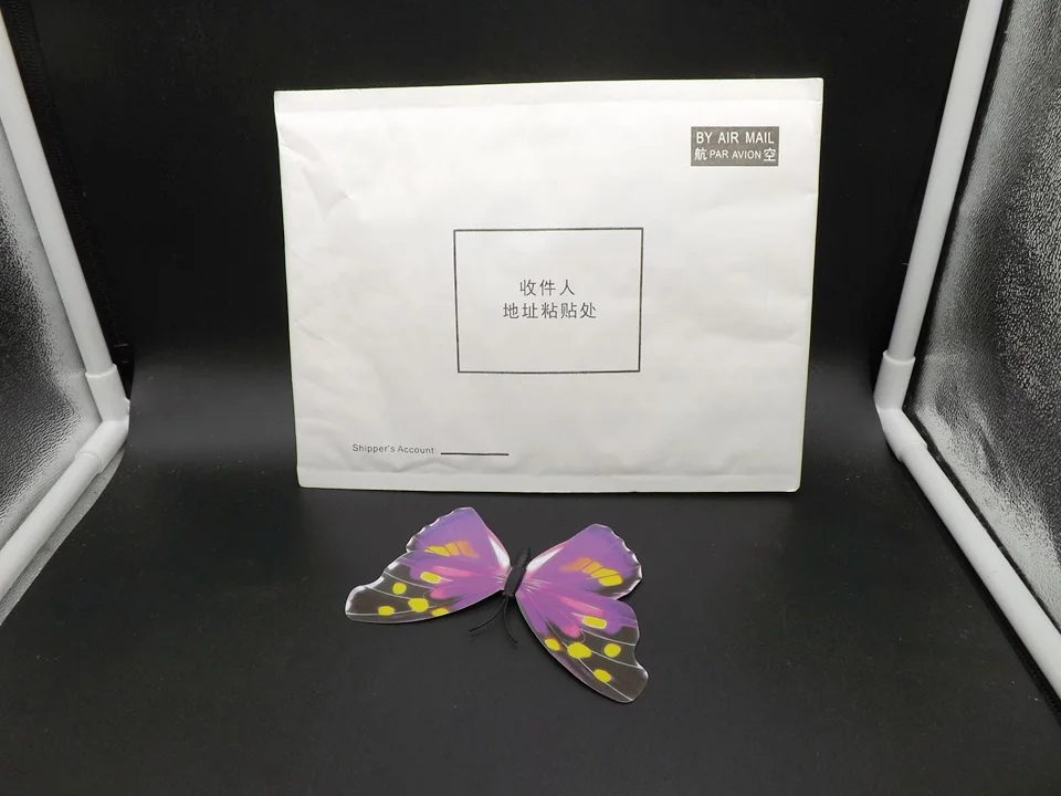 I241-Butterfly (13)