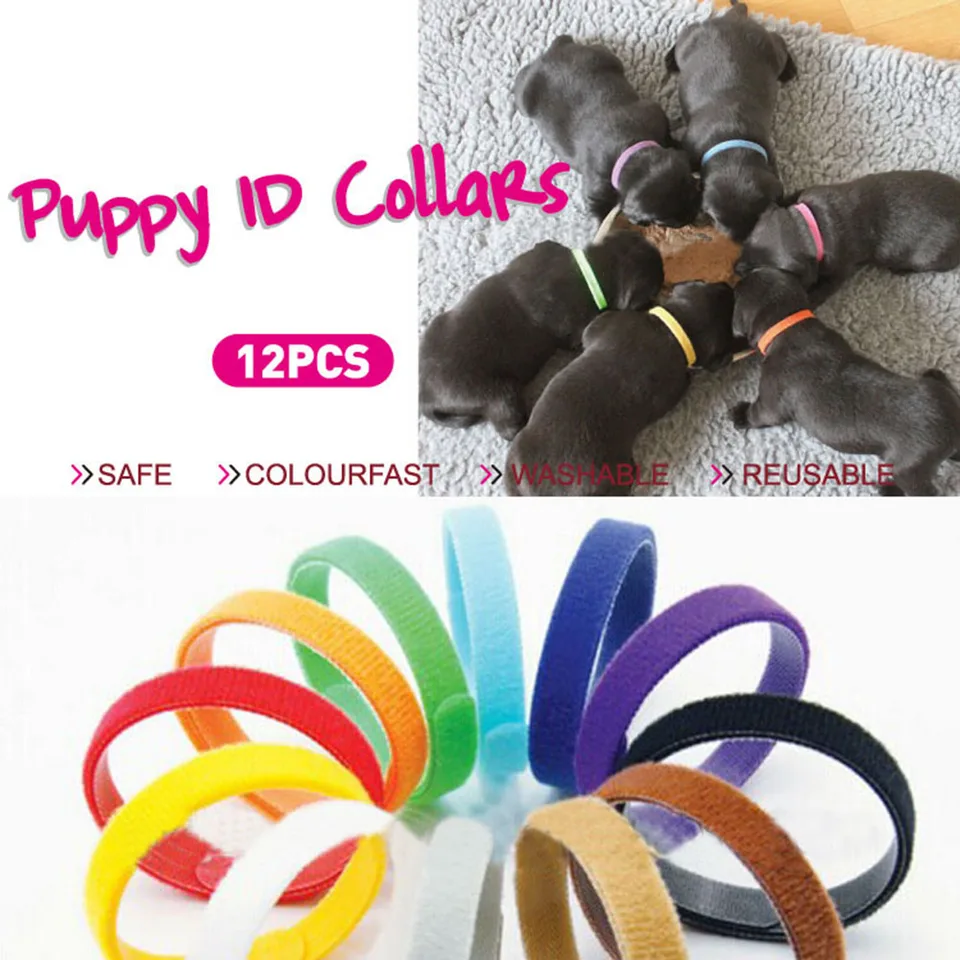 toy puppy collars