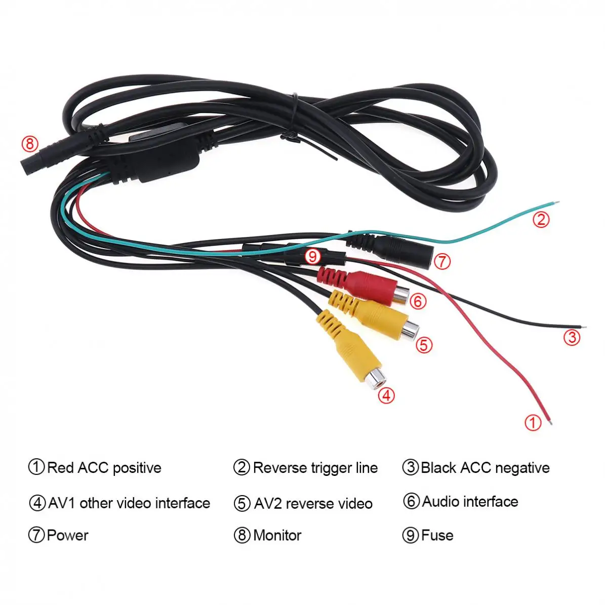 24111-description-4-l1.jpg