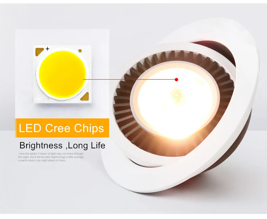 led downlights  (24)