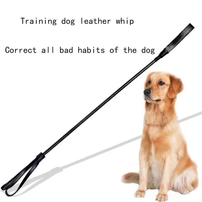 

JU A New Year Dog Toy Training Dog Stick Taming Whip Safe and Convenient Dog Pet Supplies Interesting Dog Training Device