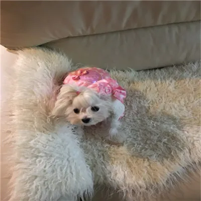 3070