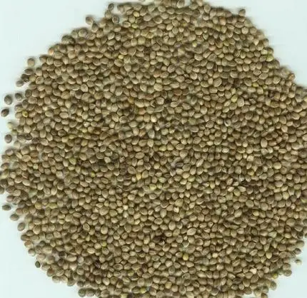 

3000Pcs A Set