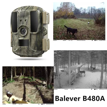 

Infrared Wild Game Cameras Infrared IP66 No Flash Timelapse Timers SD Card cycle