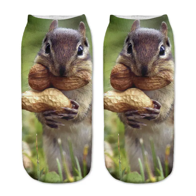 Funny Animal Socks Cute 3D FAT GUINEA PIG Print Short Socks Men Women Kid Halloween Gif Fashion Designer Low Cut Ankle Socks