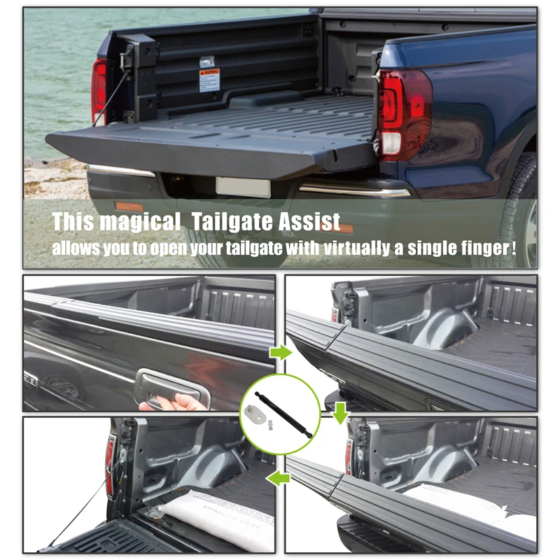Tailgate Assist (9)