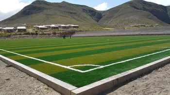 

Soccer synthetic grass grama artificial
