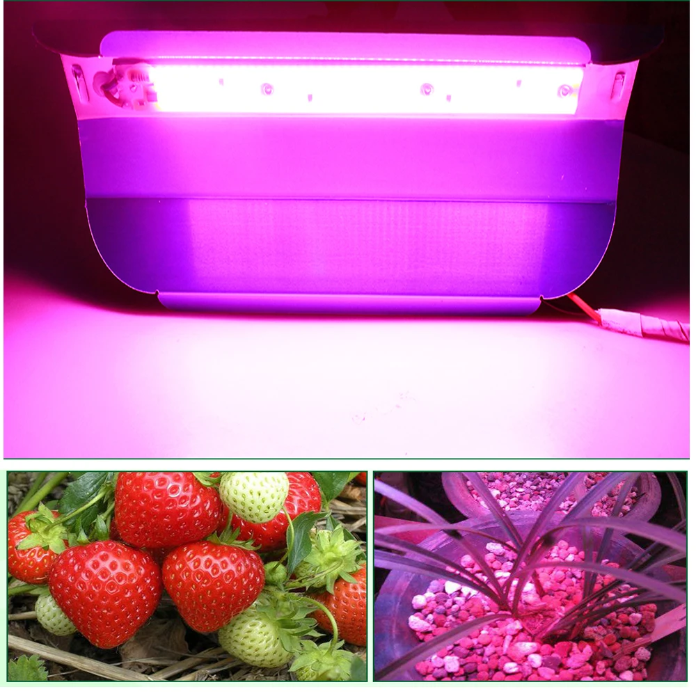 

Full Spectrum50W 100W LED Grow Flood Light COB LED Grow Lamp for Outdoor Plant Hydroponic Vegetable IP67 Waterproof Growth Lamp