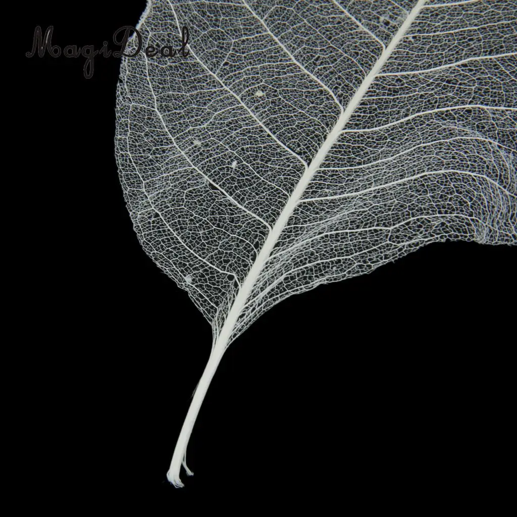 100pcs Natural Magnolia Skeleton Leaf Leaves Embellishment for DIY Crafts Purple Blue