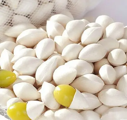 Image result for kacang ginkgo