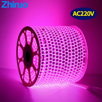 

RGB LED Strip Flexible Neon Lights SMD5050 Waterproof AC220V-240V Holiday Lighting Party Living Room Home Decor DIY Xmas Light
