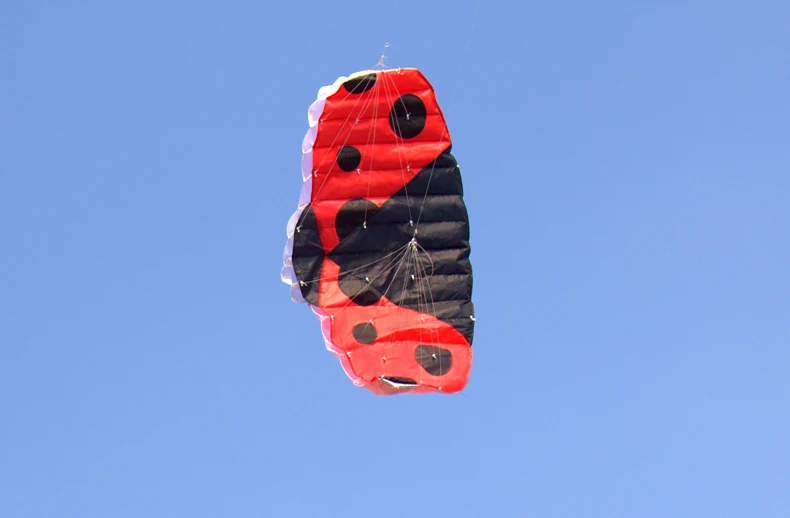 1b