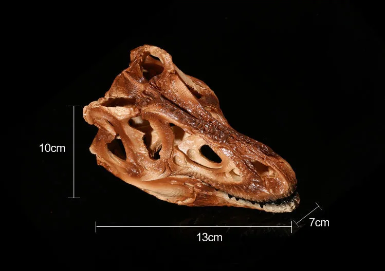 1:1 Смола динозавр голова скелет модель для медицинских исследований ресурсы Детские игрушки Подарки товары для учебы Хэллоуин форма для изготовления черепа Декор