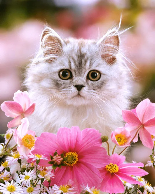 Diy Diamond Painting Embroidery Full Cross Stitch Needlework Set Rhinestone Crafts Wall Decor flower cat | Дом и сад