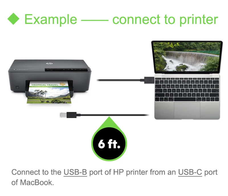 usb c printers