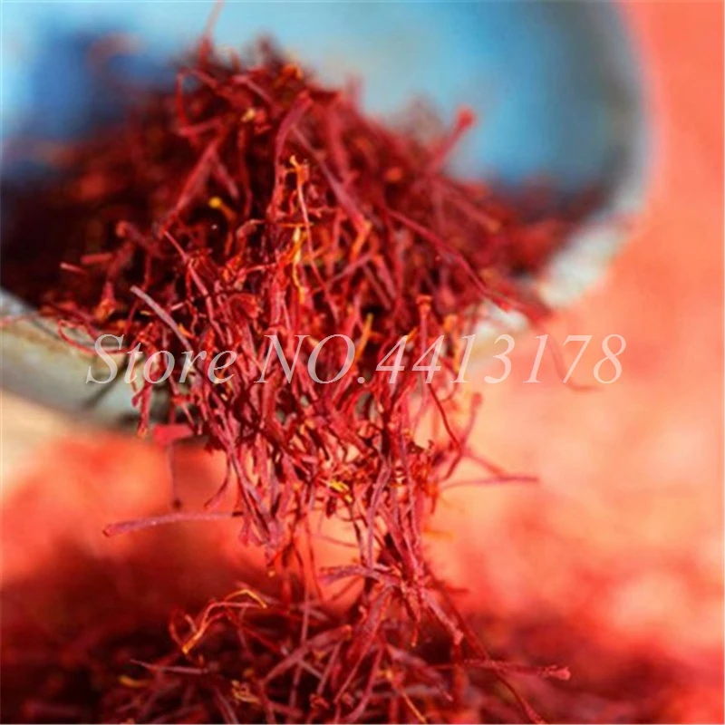 200 Pcs Saffron Flower Plants Not Bulbs Bonsai Crocus Potted Home