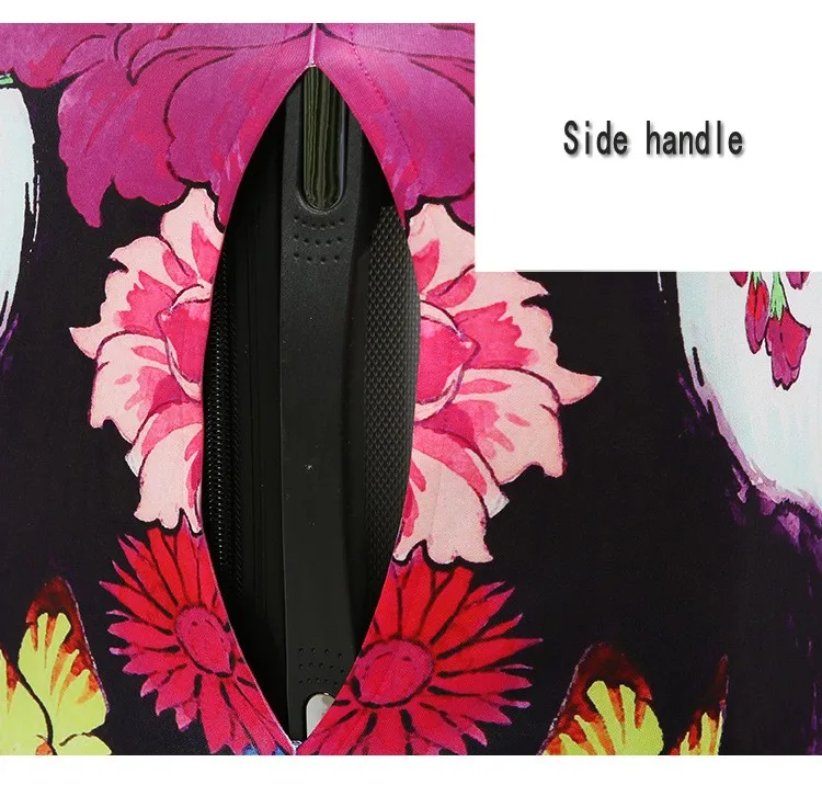 3614143116_322839970_conew1