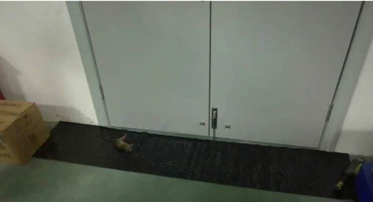 200cm*40cm Sticky Rat Glue Trap Mouse Glue Board Mice Catcher Trap Non-toxic Pest Reject Rat Killer Pest Repeller 200cm*40cm Sticky Rat Glue Trap Mouse Glue Board Mice Catcher Trap Non-toxic Pest Reject Rat Killer Pest Repeller