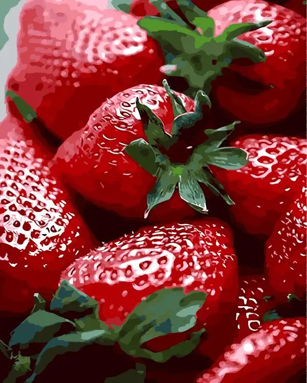 

fresh red strawberry the Paintings Numbers hand Paint Painitng Coloring By Number drawing module pictures Home Wall Decoration